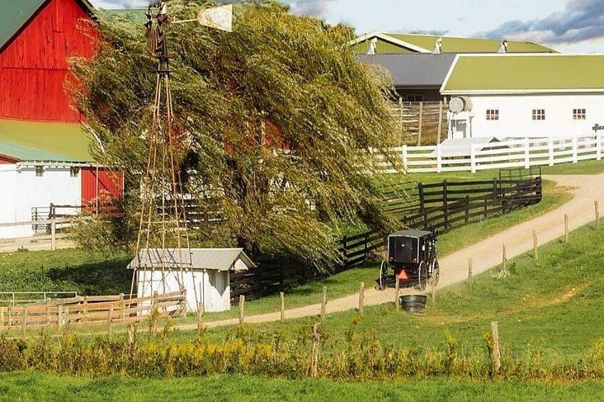 Amish Visit-In-Person Tour 3
