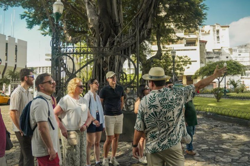 Small Group Guayaquil and Cocoa Farm Full-Day Tour 2