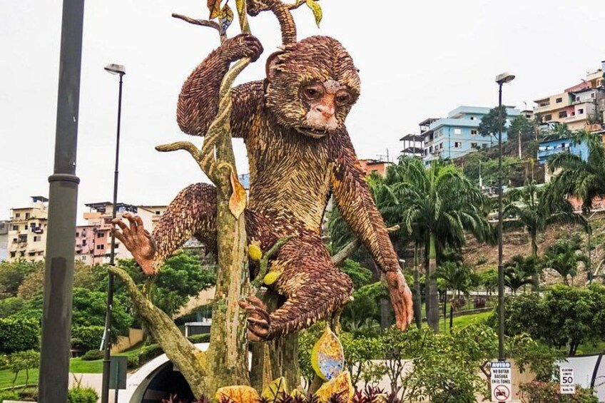 Small Group Guayaquil and Cocoa Farm Full-Day Tour 2