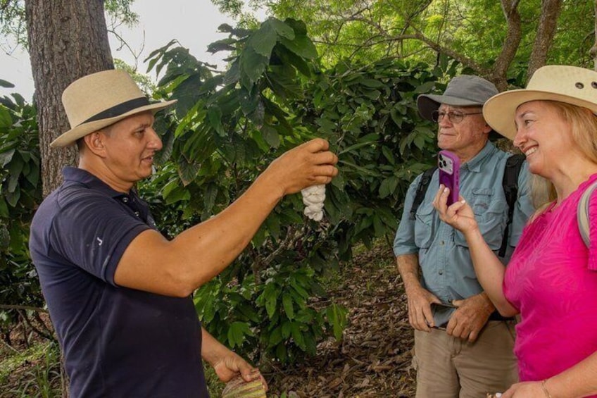 Howler Monkey Trail and Cacao Farm Experience from Guayaquil 2