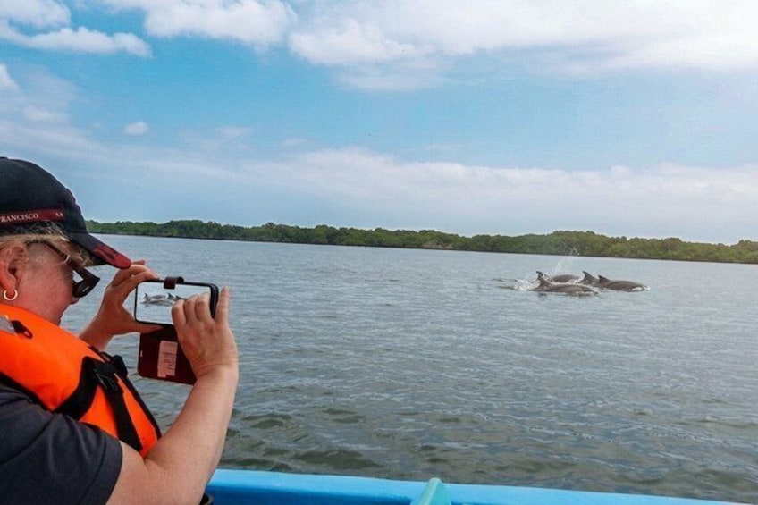 Une personne à bord d’un bateau prend une photo de dauphins dans l’eau. 1