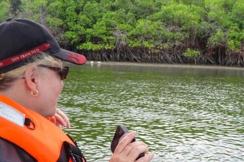 Full Day Dolphins Mangroves and Birdwatching Tour from Guayaquil 5