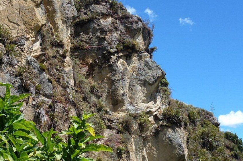Un acantilado rocoso con vegetación escasa y un cielo azul despejado. 2