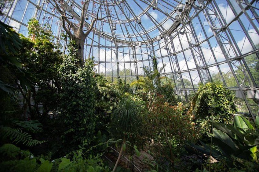 Houston Museum of Natural Science and Cockrell Butterfly Center 2