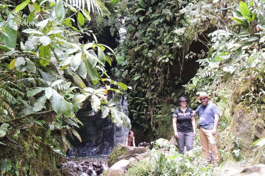 Discovering the Cloud Forest. 3