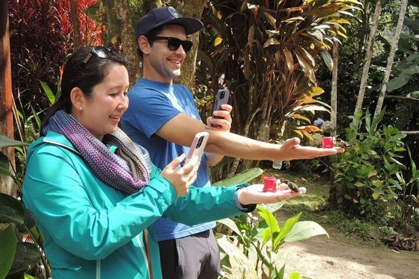Deux personnes prennent une photo avec un téléphone intelligent dans un jardin. 4