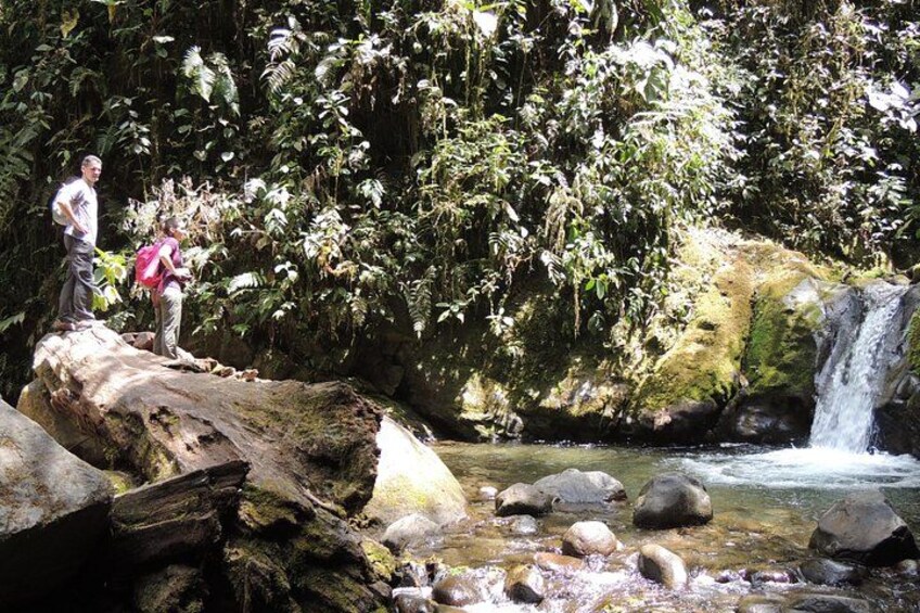 Exploring the waterfalls. 4