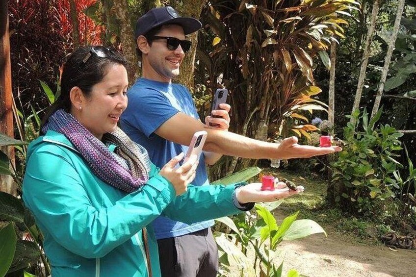 Mindo Cloud Forest Private Day Tour 3