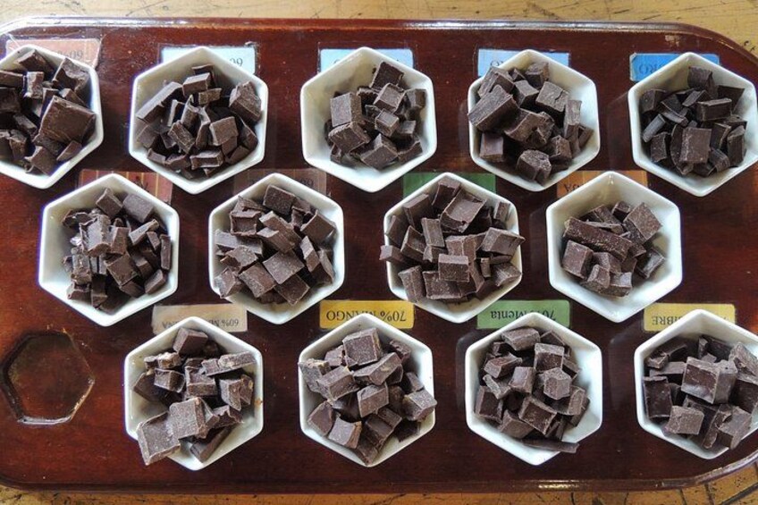 Chocolate Tasting! 2