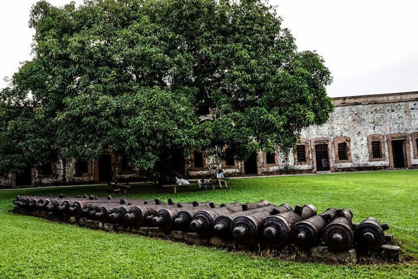 A large tree in front of a building with a row of old cannons in the foreground. 2