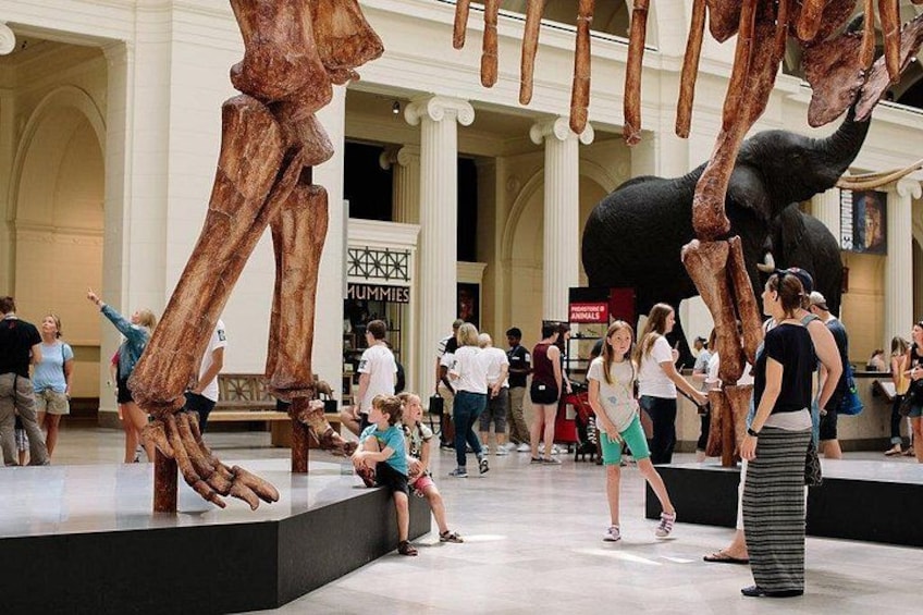 Field Museum of Natural History Admission Tickets 2
