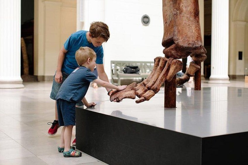 Field Museum 3