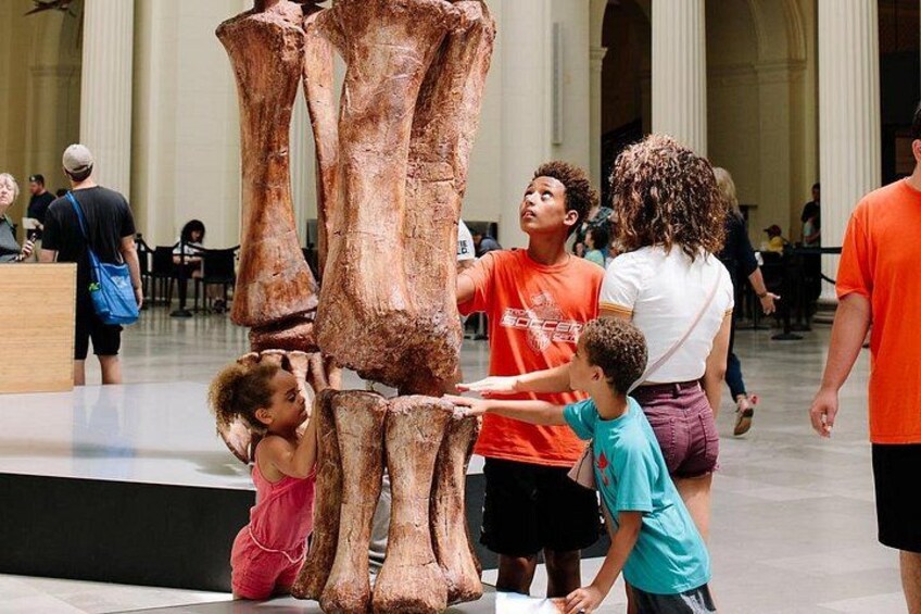 Field Museum of Natural History Admission Tickets 2