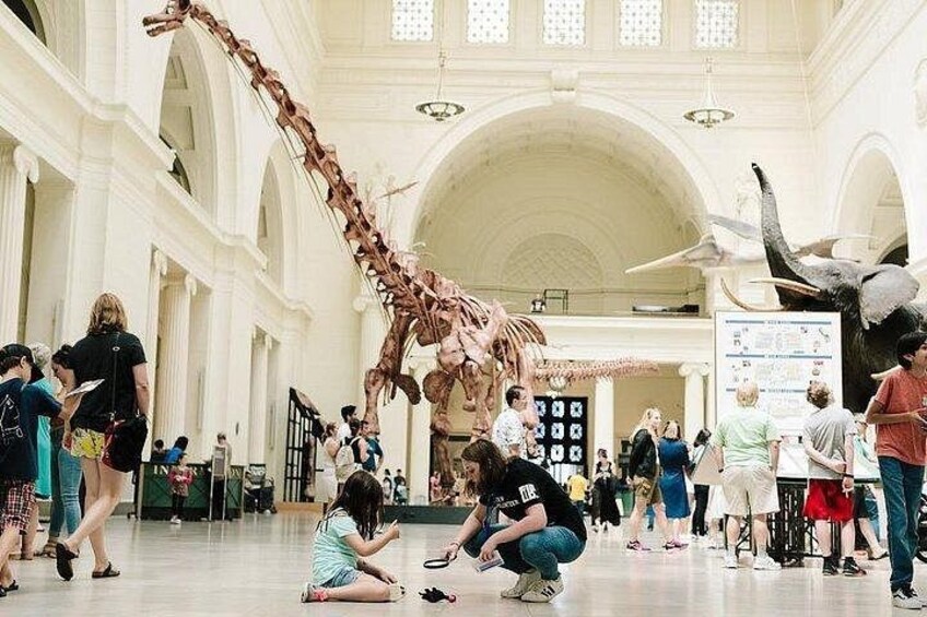 Field Museum of Natural History Admission Tickets 3