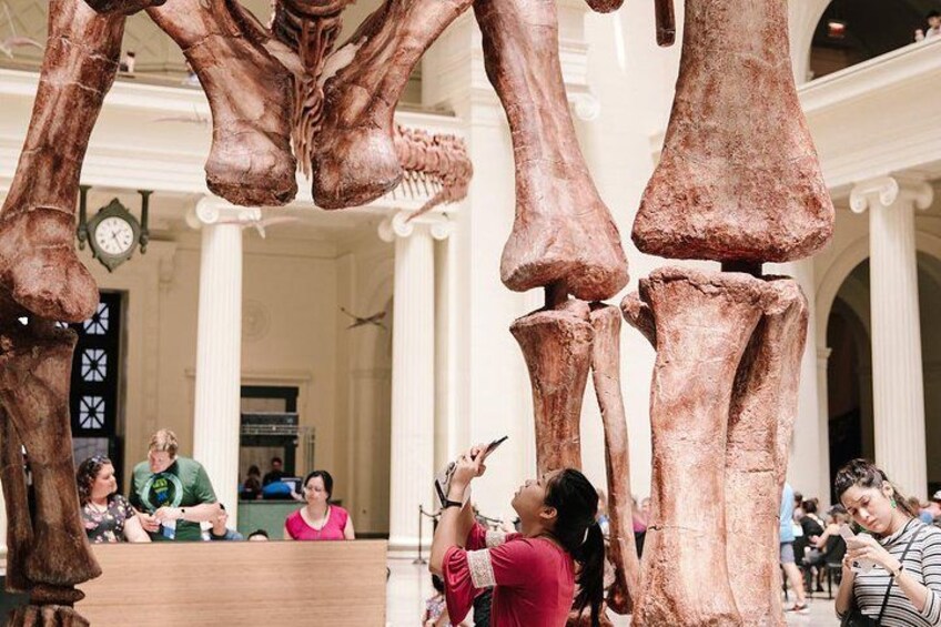 Field Museum of Natural History Admission Tickets 4