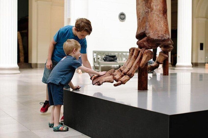 Field Museum 2