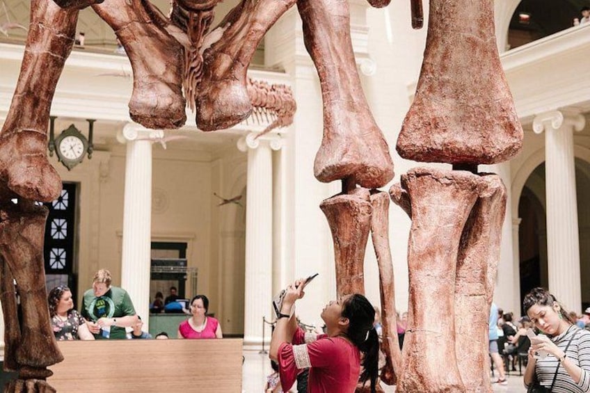 Field Museum of Natural History Admission Tickets 2