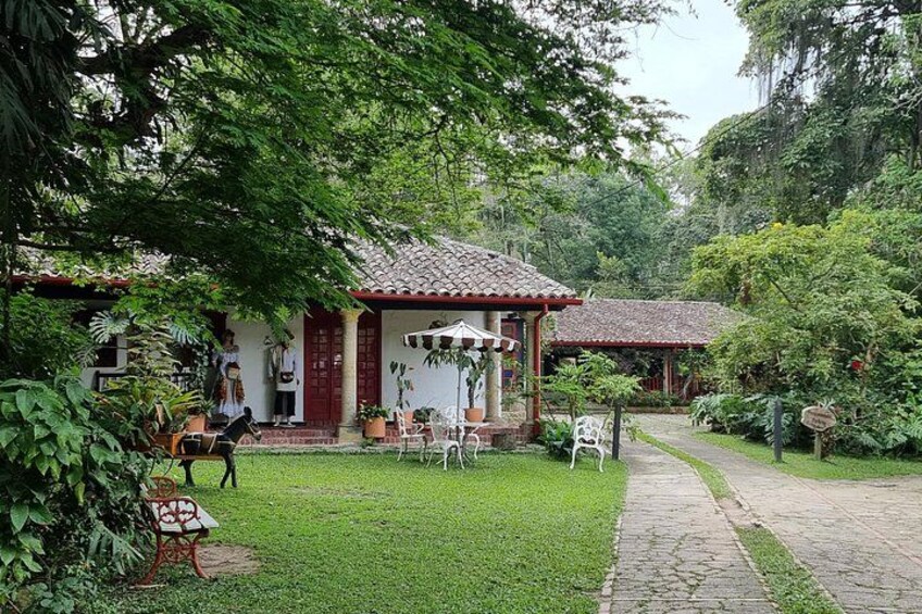 Exclusive Coffee Experience:Tour from Bogotá 3