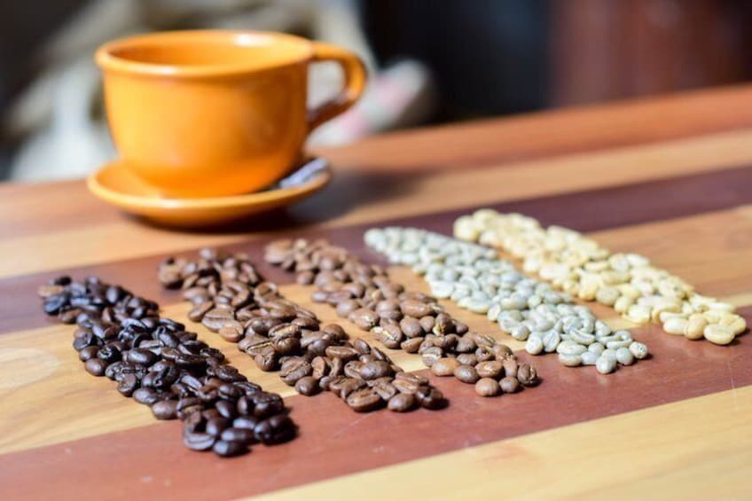 Specialty Coffee Workshops in Bogota 5