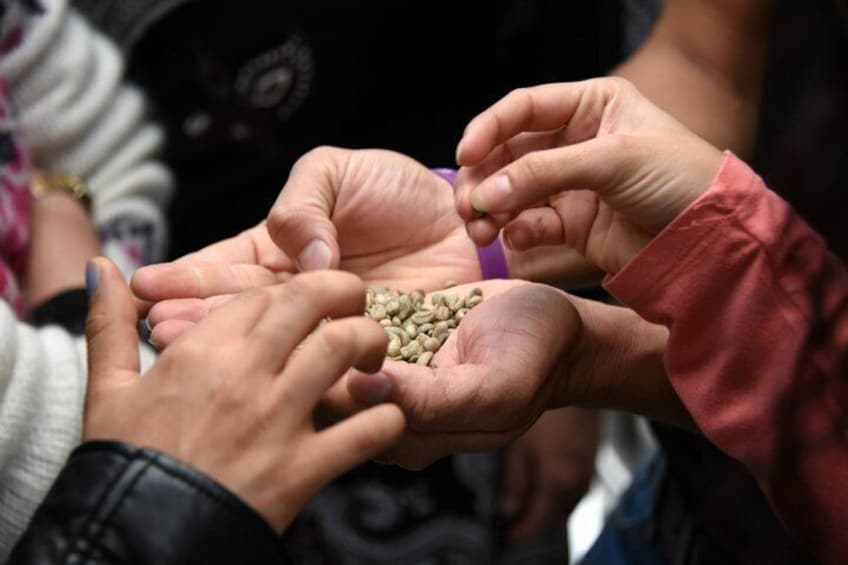 Specialty Coffee Workshops in Bogota 2