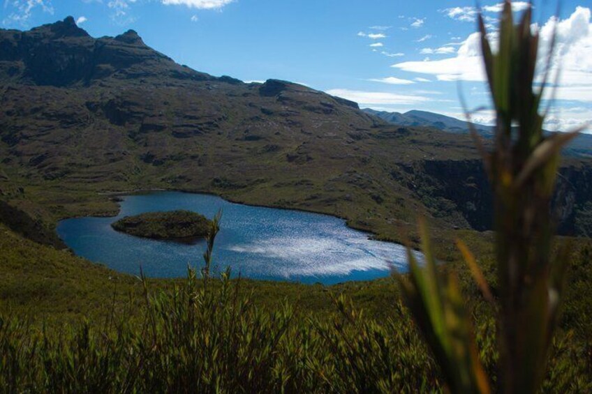 Chingaza National Park Day Tour from Bogotá: Andean Wilderness 2