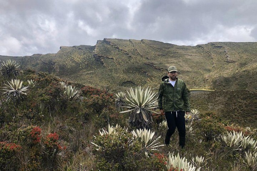 Chingaza National Park Day Tour from Bogotá: Andean Wilderness 4