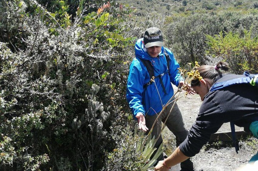 Chingaza National Park Day Tour from Bogotá: Explore Andean Wilderness 5