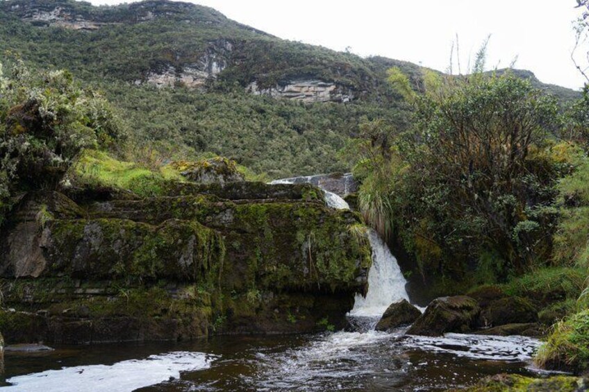 Chingaza National Park Day Tour from Bogotá: Andean Wilderness 3
