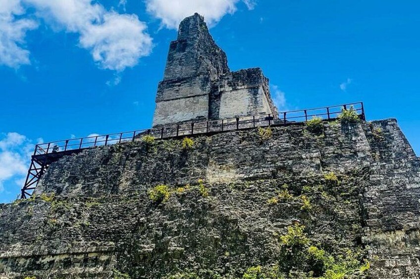 Una alta y antigua construcción de piedra con una escalera que lleva hasta ella, rodeada de vegetación. 2