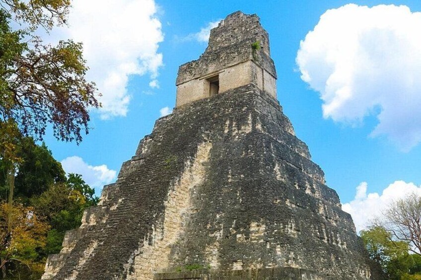 Private Tikal Mayan City Tour with Lunch 1