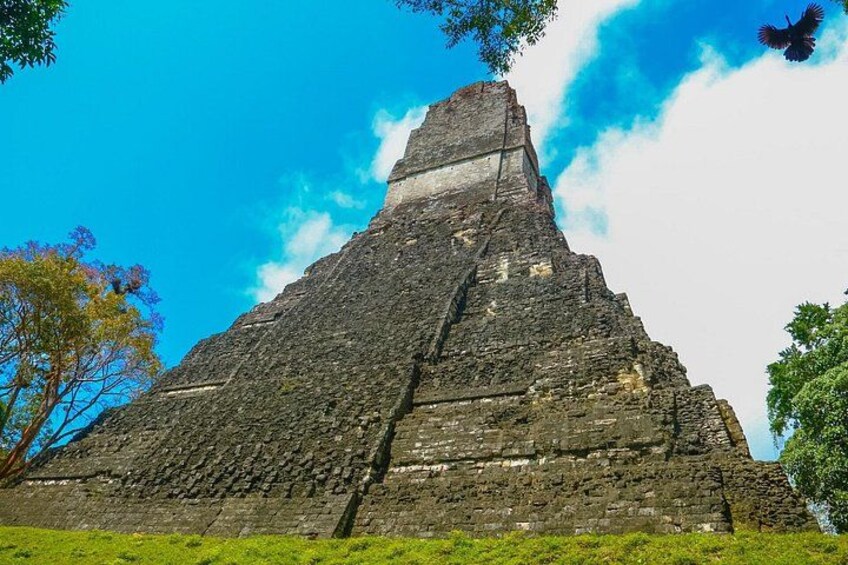 Private Tikal Mayan City Tour with Lunch 2