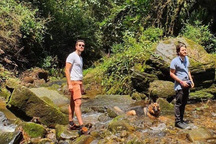 Two people standing on rocks by a stream in a forested area. 3