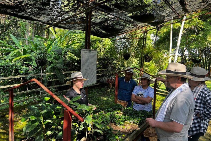 A group of people in a garden with a metal structure and a signboard. 2