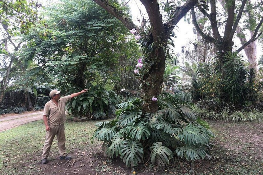 Coffee Farm Experience Day Tour 3