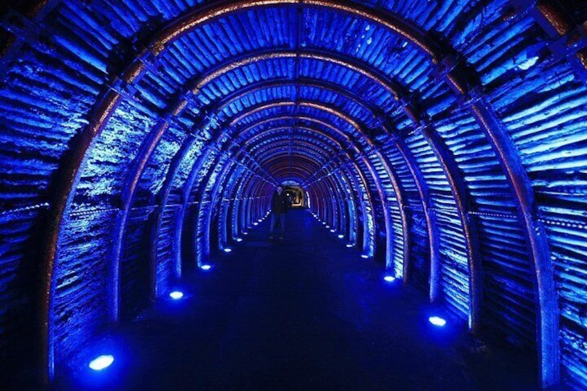 Cathedral tunnel at the entrance 5