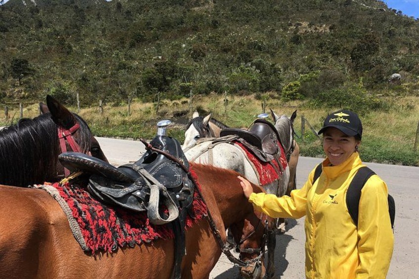 A person in a yellow jacket standing next to a horse with a saddle. 4