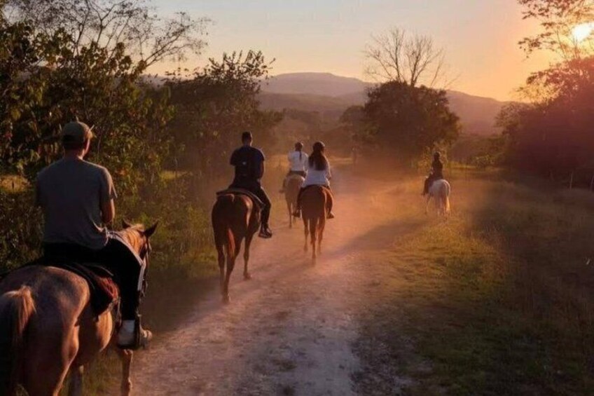 Un groupe de personnes à cheval, sur un chemin de terre bordé d’arbres et entouré de collines. 3