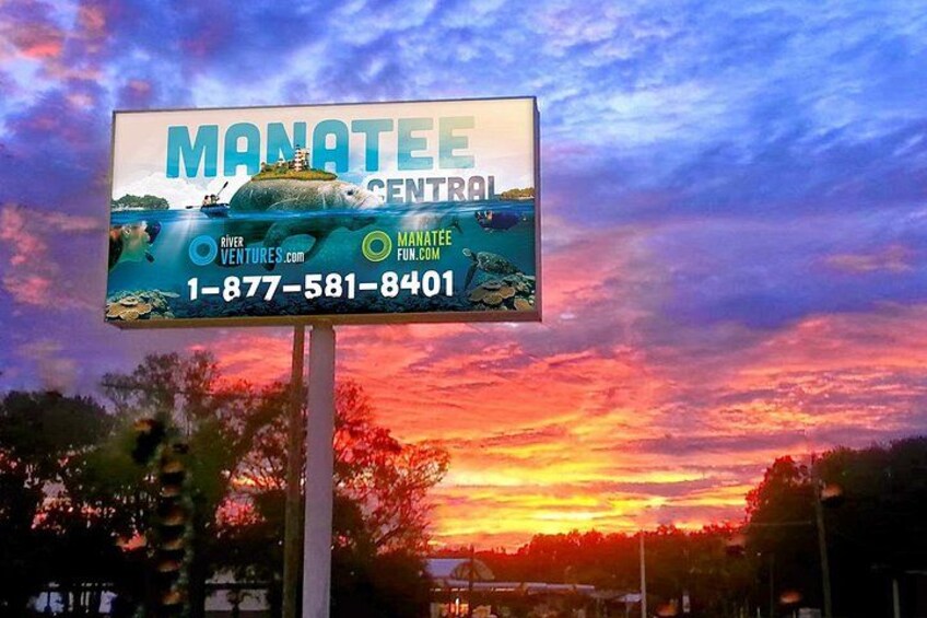 More than just manatee tours! 4