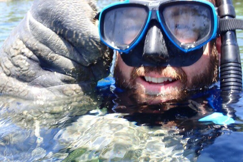 Manatee Lovins! 2