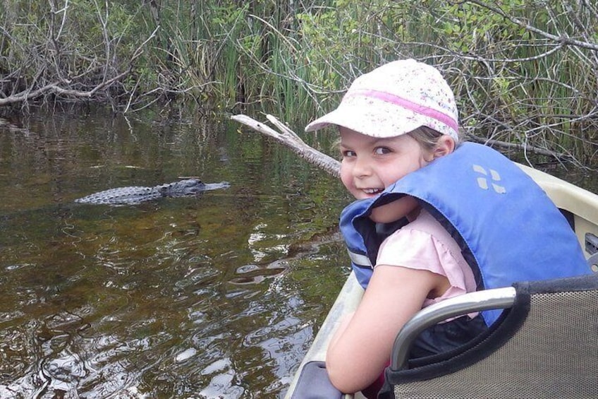 3 Hour Guided Mangrove Tunnel Kayak Eco Tour