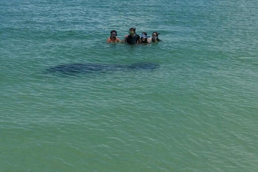Shell Key & Dolphins - Semi-Private Tours 5