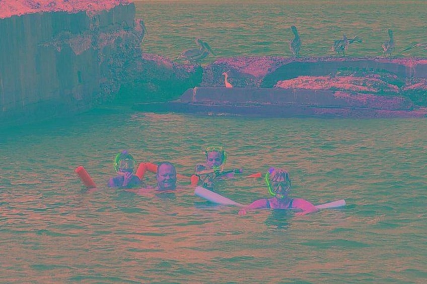 Shell Key & Dolphins - Semi-Private Tours 3