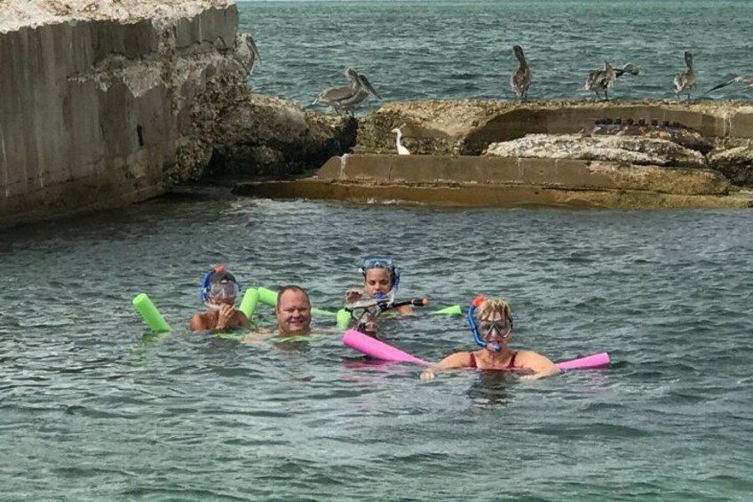 People swimming in a body of water with rocks and birds in the background. 3
