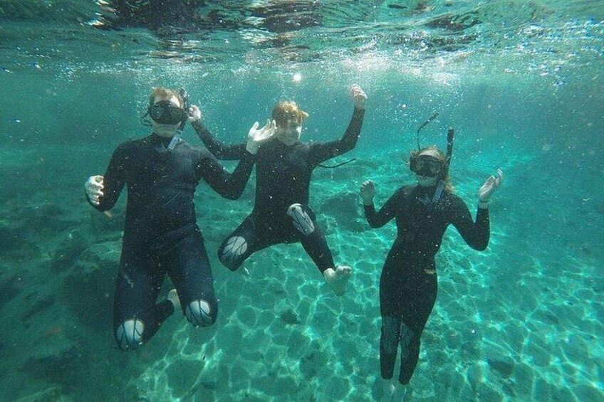 Guided Small Group Manatee Snorkeling Tour with In-Water Photographer 2