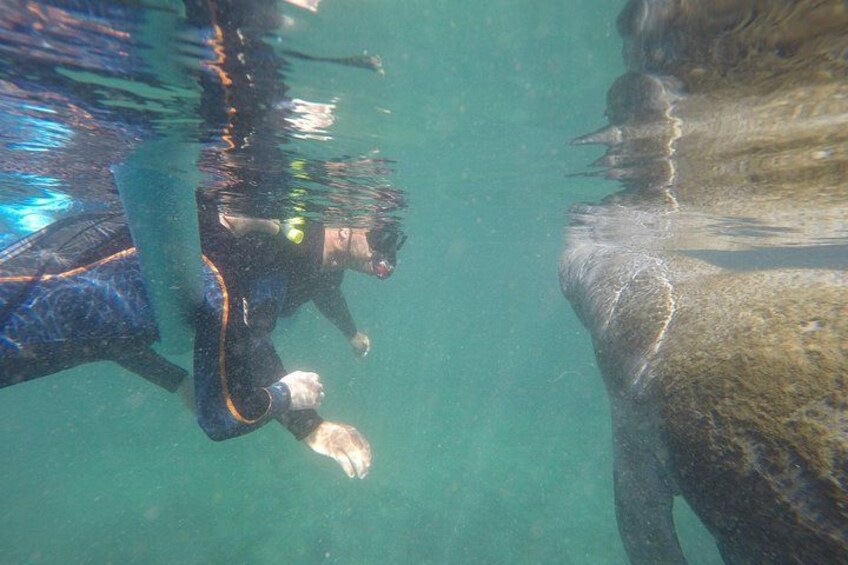 Face to Face! 3