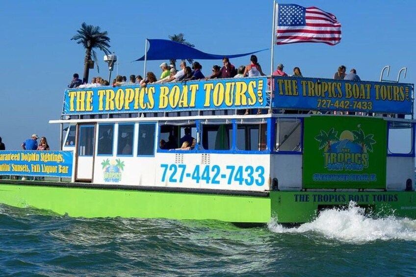 Guaranteed Dolphin Sighting Tour on Tropics Boat Tours 3