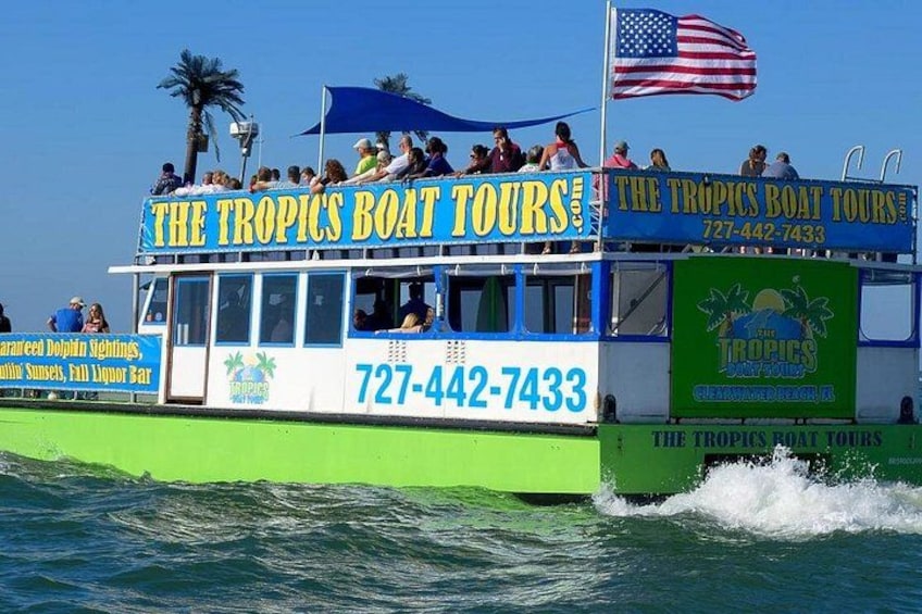 Guaranteed Dolphin Sighting Tour on Tropics Boat Tours 4