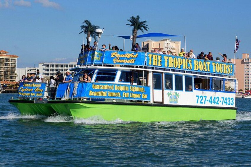 Guaranteed Dolphin Sighting Tour on Tropics Boat Tours 3