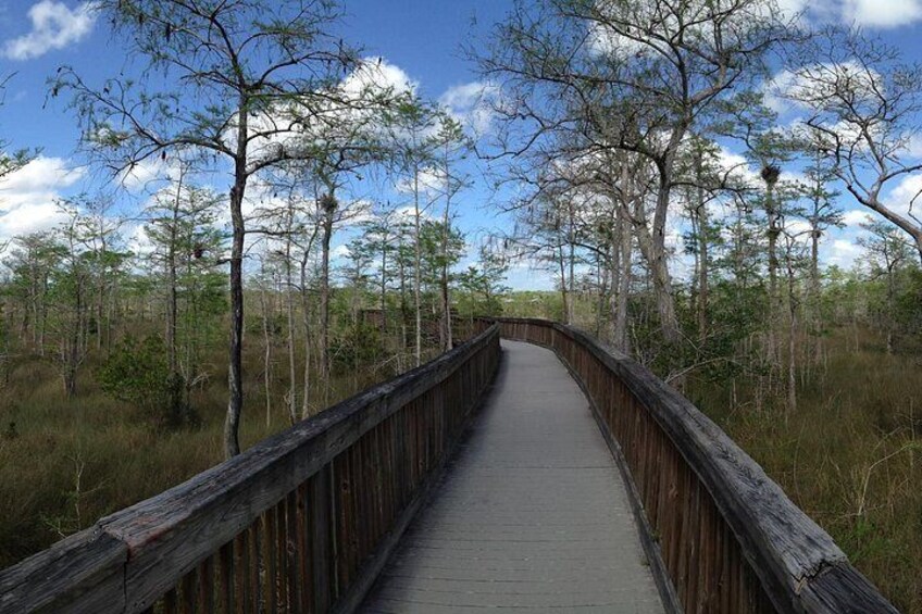 The Boardwalk 2
