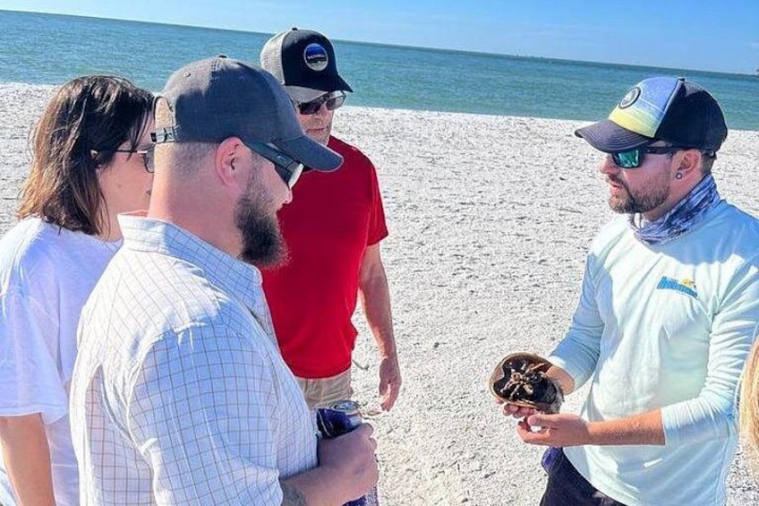 Un gruppo di persone su una spiaggia sabbiosa, con l'oceano sullo sfondo. 2